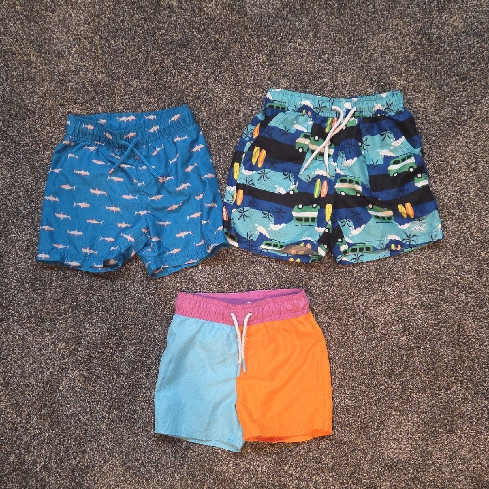 Bundle Of Trunks